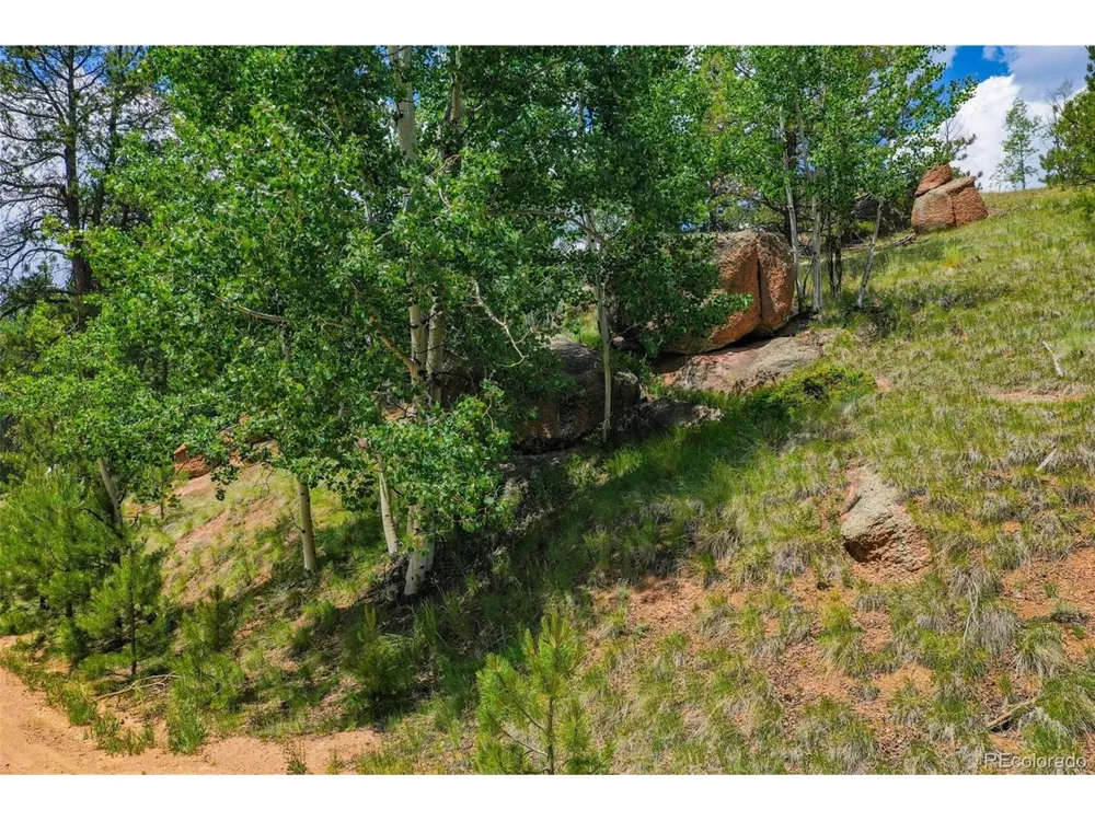 525 Spring Valley Lane Florissant, CO 80816