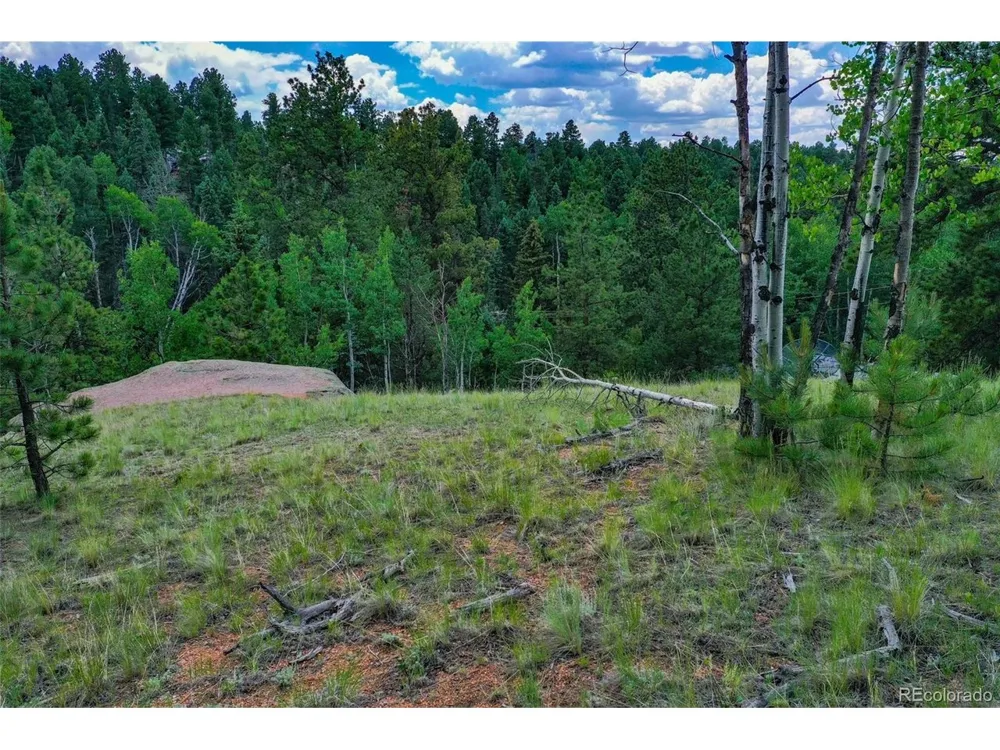 525 Spring Valley Lane Florissant, CO 80816