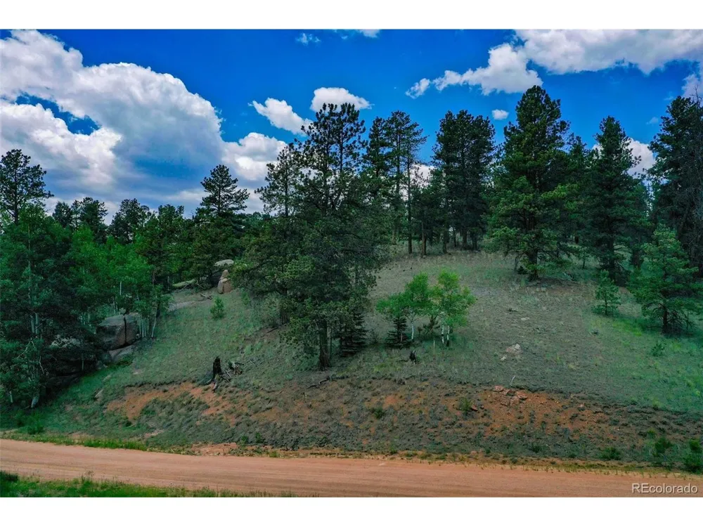 525 Spring Valley Lane Florissant, CO 80816