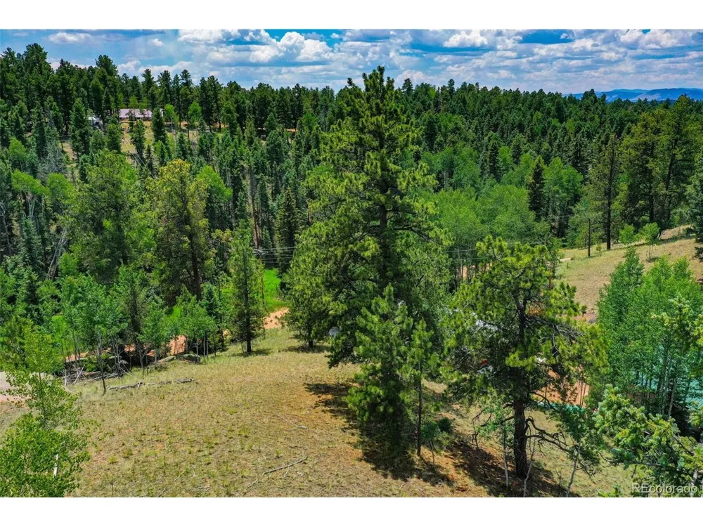 525 Spring Valley Lane Florissant, CO 80816