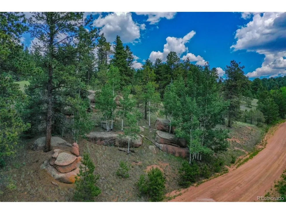 525 Spring Valley Lane Florissant, CO 80816