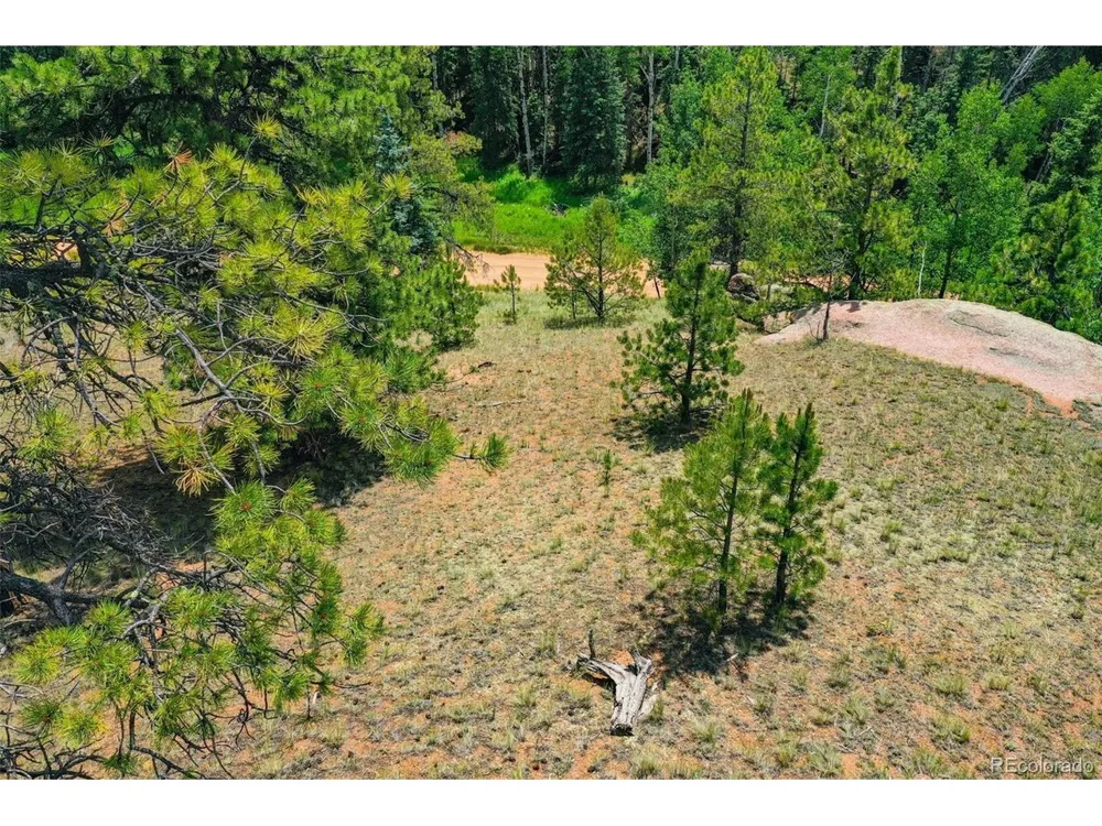 525 Spring Valley Lane Florissant, CO 80816