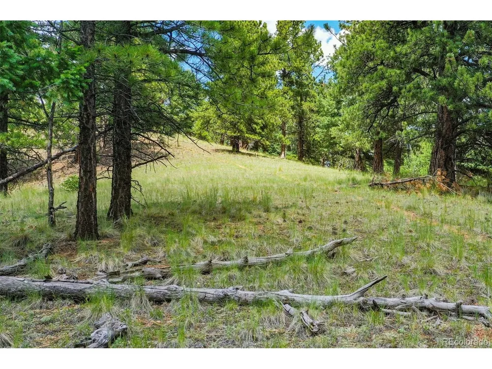 549 Spring Valley Lane Florissant, CO 80816