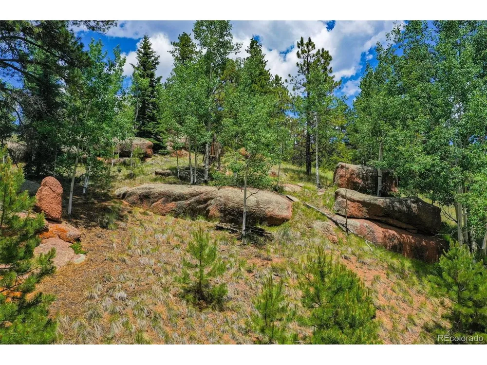 549 Spring Valley Lane Florissant, CO 80816