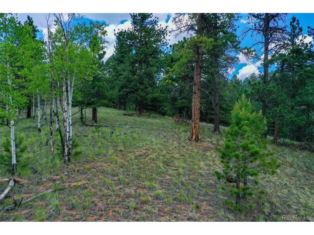 549 Spring Valley Lane Florissant, CO 80816