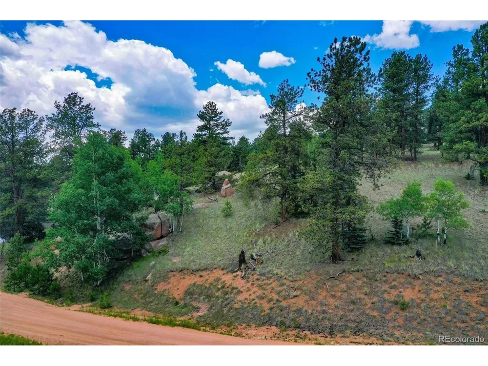 549 Spring Valley Lane Florissant, CO 80816