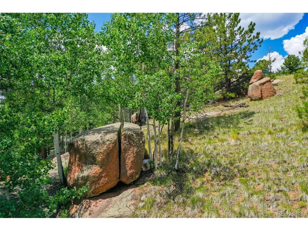 549 Spring Valley Lane Florissant, CO 80816