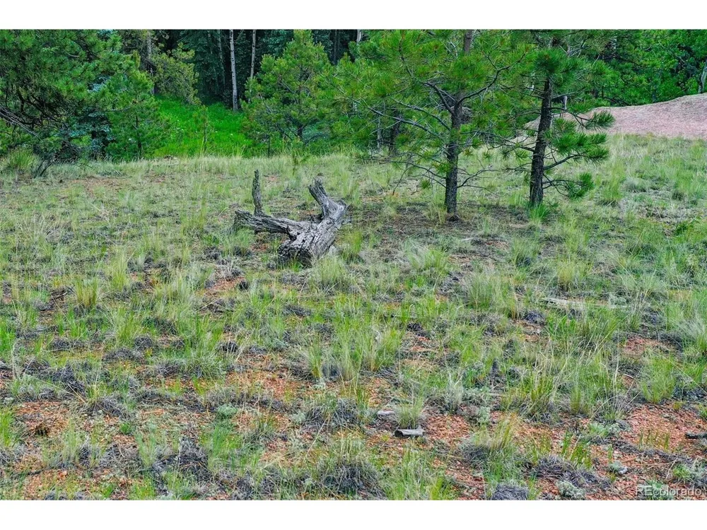 549 Spring Valley Lane Florissant, CO 80816
