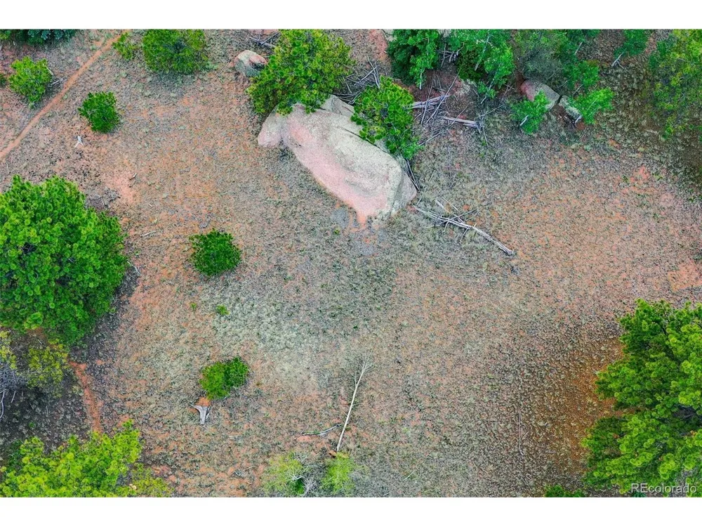 549 Spring Valley Lane Florissant, CO 80816