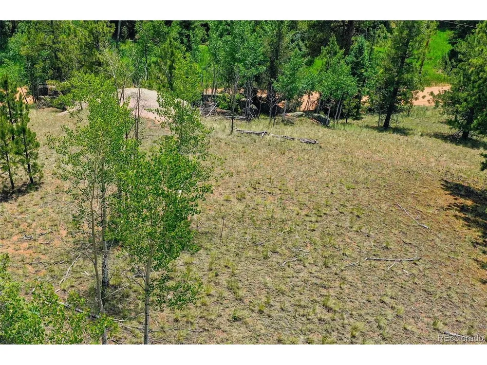 549 Spring Valley Lane Florissant, CO 80816