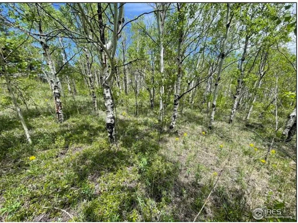 11320 Gold Hill Road Boulder, CO 80302