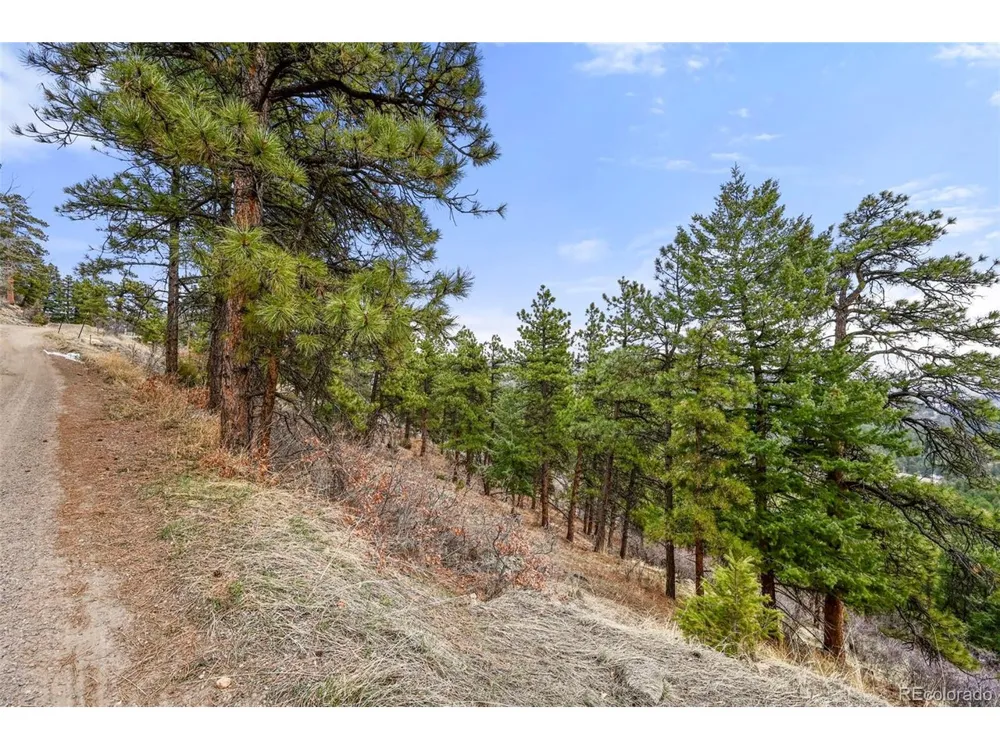 5312 Adahi Road Indian Hills, CO 80454