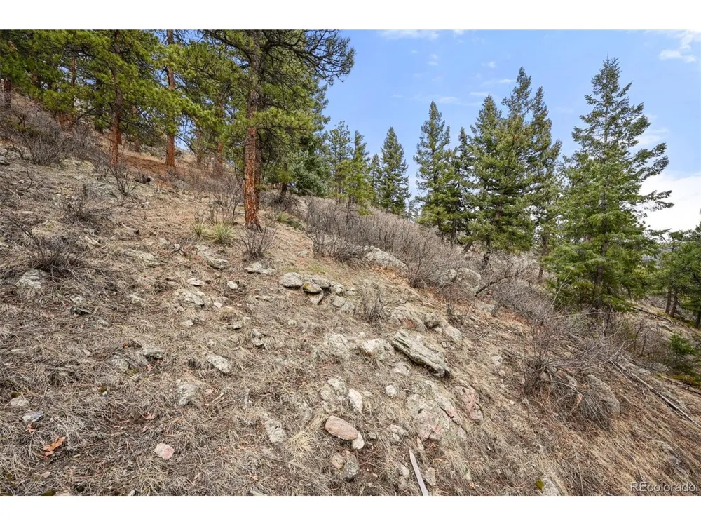 5312 Adahi Road Indian Hills, CO 80454