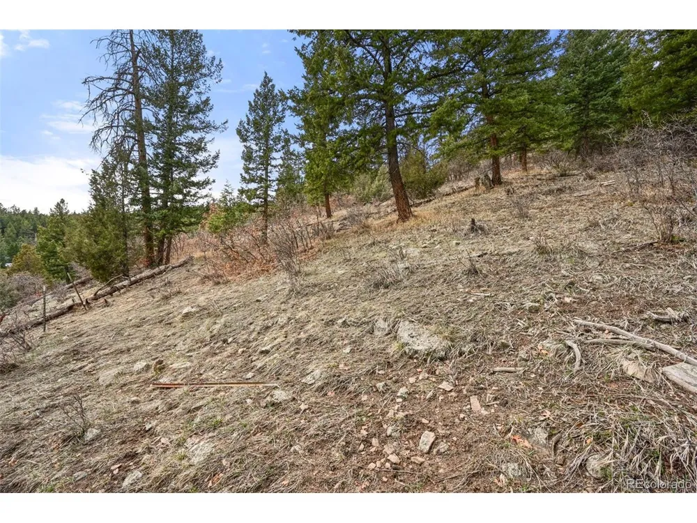 5312 Adahi Road Indian Hills, CO 80454