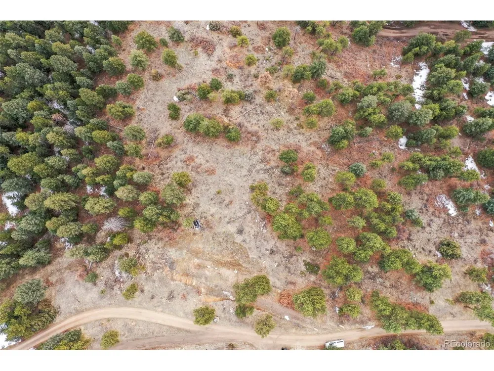 5312 Adahi Road Indian Hills, CO 80454