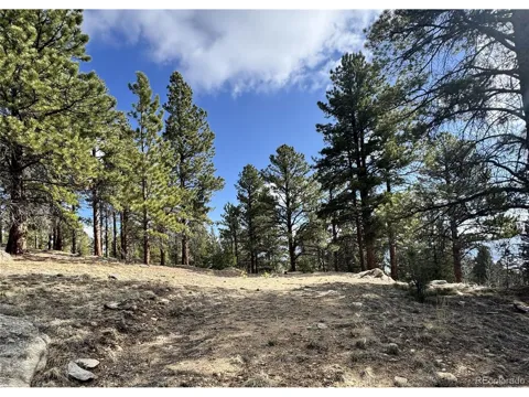 30317 Aspen Turn