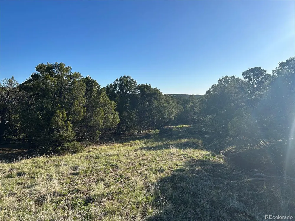 165 Silver Spurs Ranch Walsenburg, CO 81089