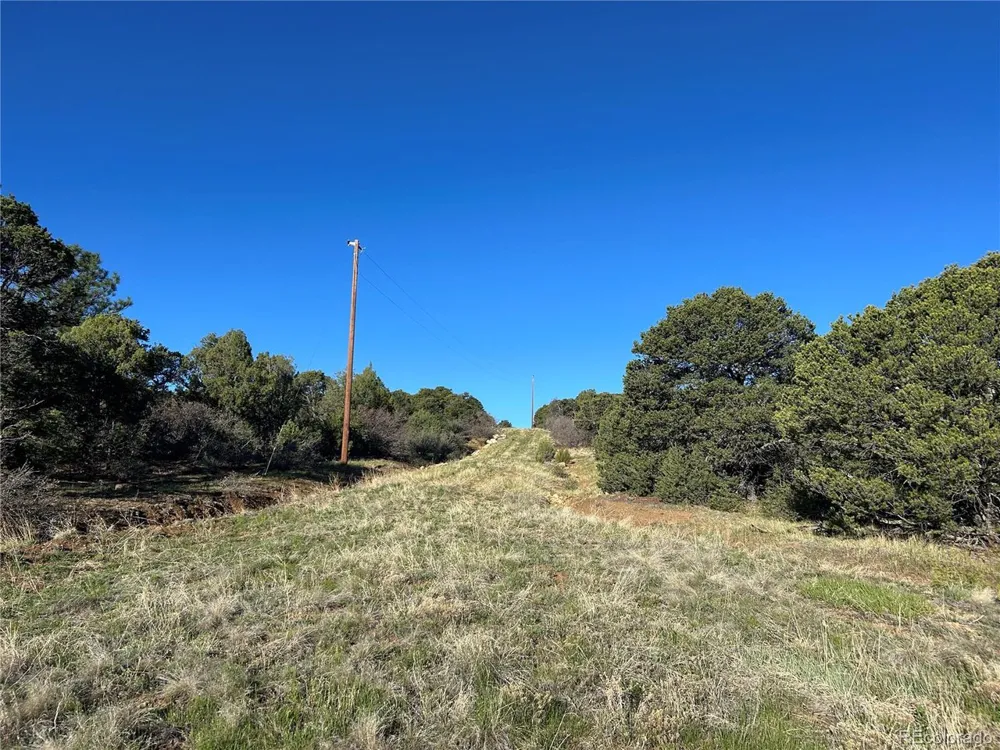 165 Silver Spurs Ranch Walsenburg, CO 81089