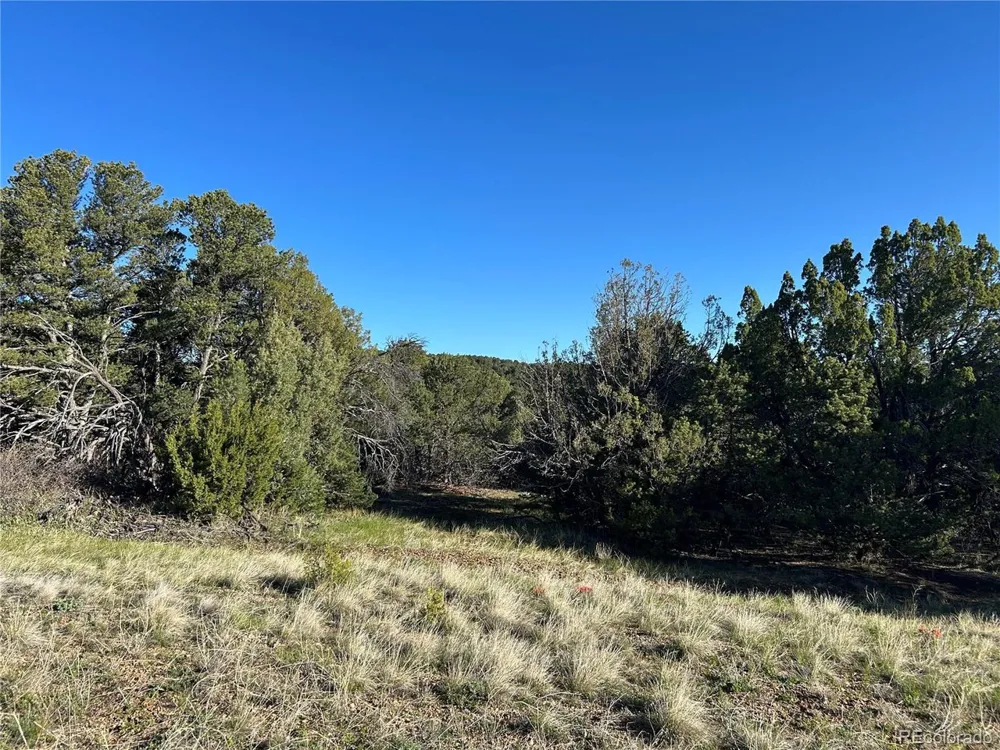165 Silver Spurs Ranch Walsenburg, CO 81089