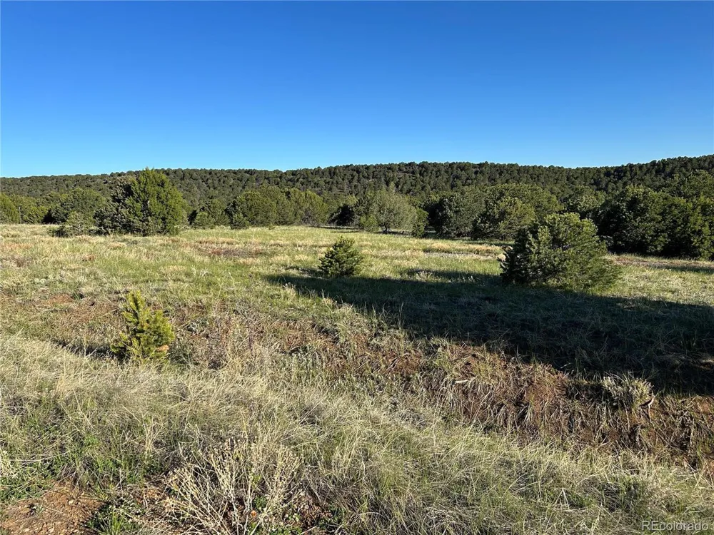 165 Silver Spurs Ranch Walsenburg, CO 81089