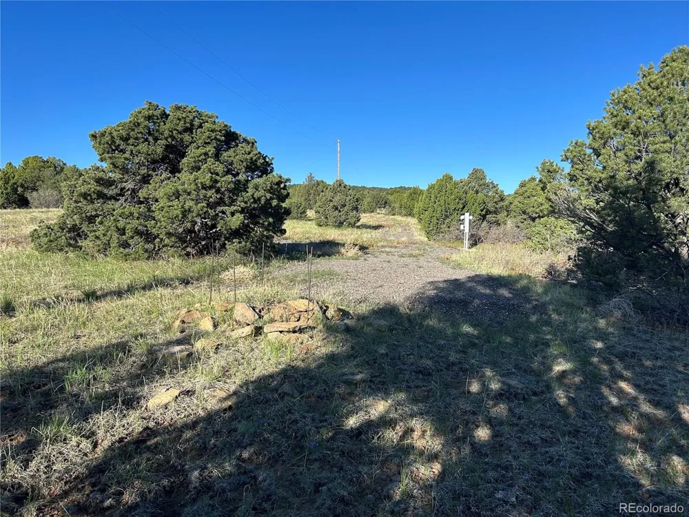 165 Silver Spurs Ranch Walsenburg, CO 81089