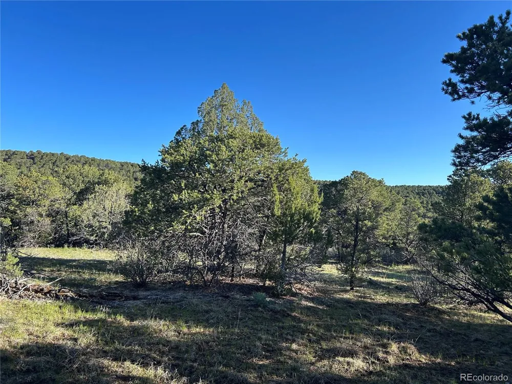 165 Silver Spurs Ranch Walsenburg, CO 81089