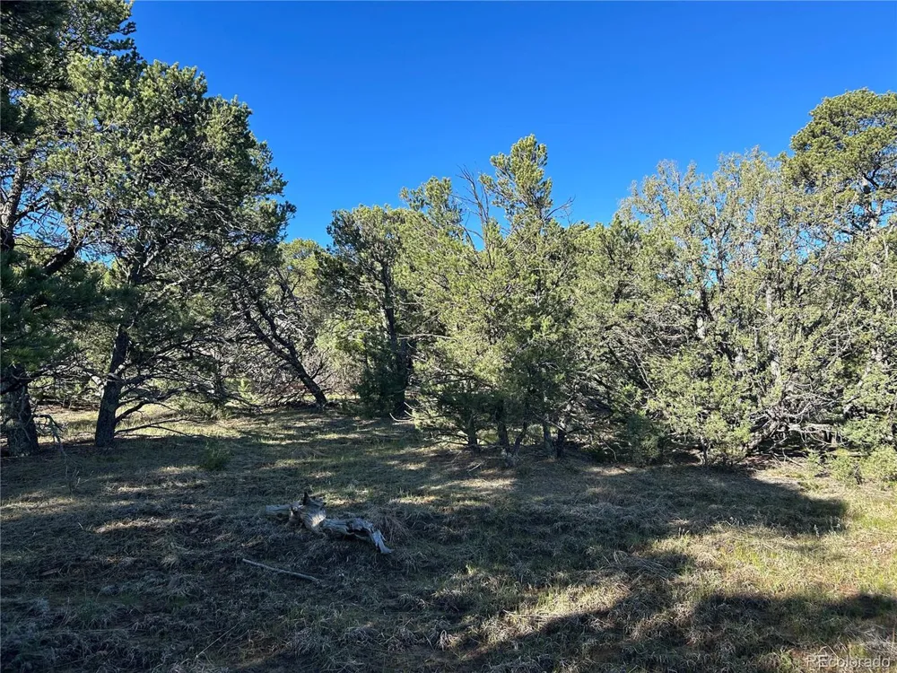 165 Silver Spurs Ranch Walsenburg, CO 81089