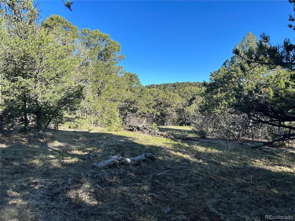 165 Silver Spurs Ranch Walsenburg, CO 81089
