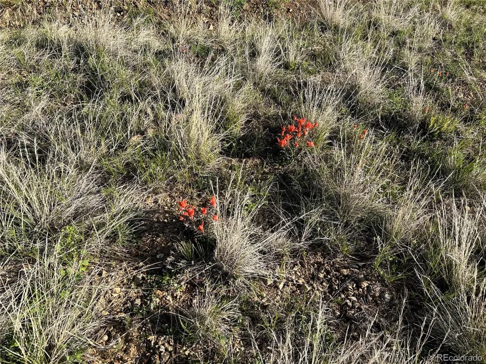 165 Silver Spurs Ranch Walsenburg, CO 81089