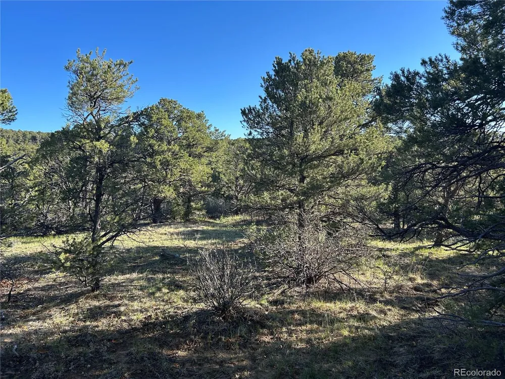 165 Silver Spurs Ranch Walsenburg, CO 81089