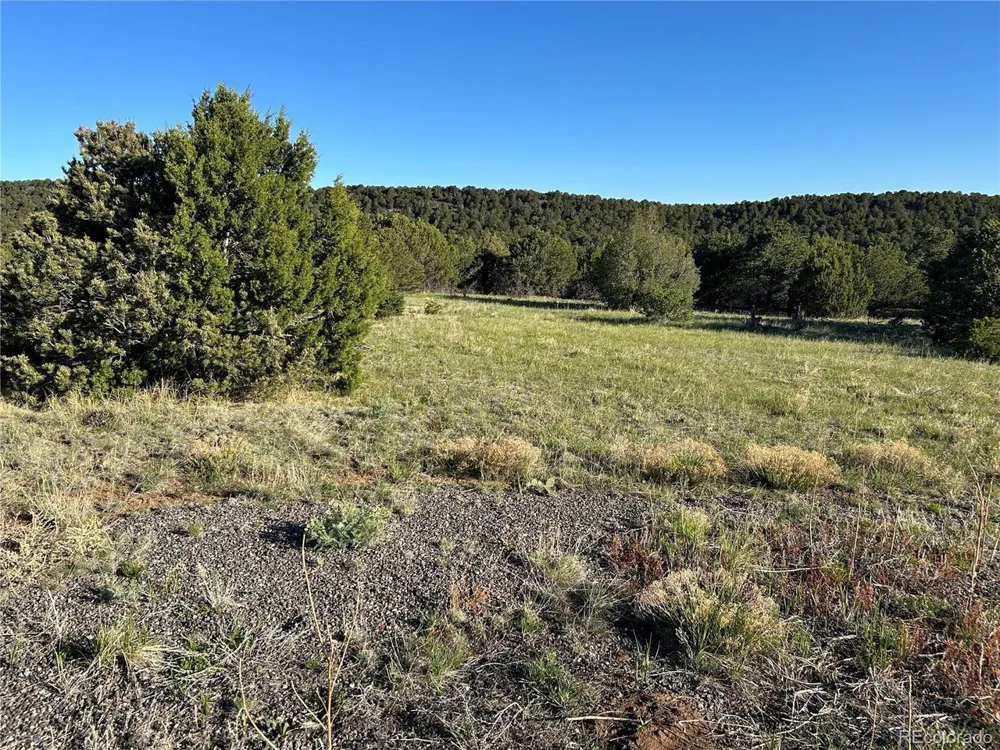 165 Silver Spurs Ranch Walsenburg, CO 81089