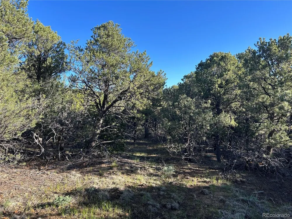 165 Silver Spurs Ranch Walsenburg, CO 81089