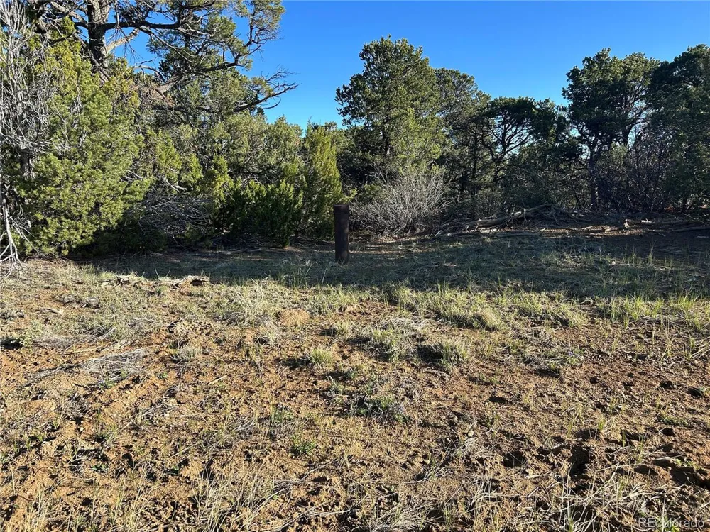 165 Silver Spurs Ranch Walsenburg, CO 81089