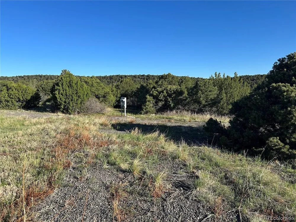 165 Silver Spurs Ranch Walsenburg, CO 81089