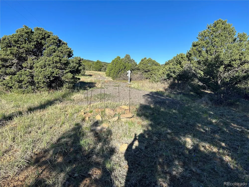 165 Silver Spurs Ranch Walsenburg, CO 81089