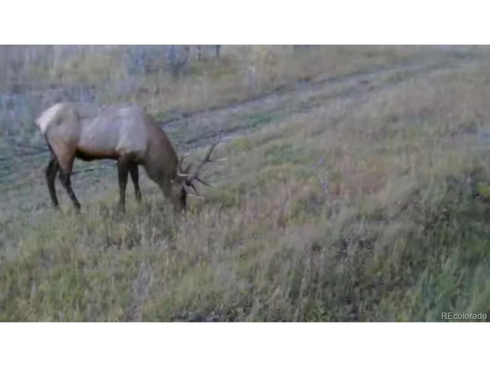 1862 River Island Drive South Fork, CO 81154