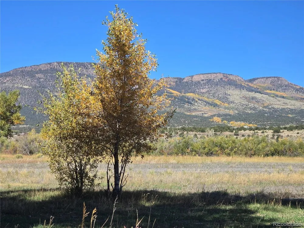1862 River Island Drive South Fork, CO 81154