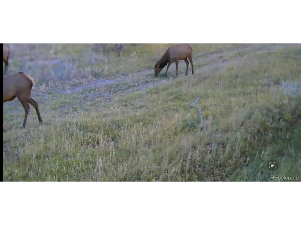1862 River Island Drive South Fork, CO 81154