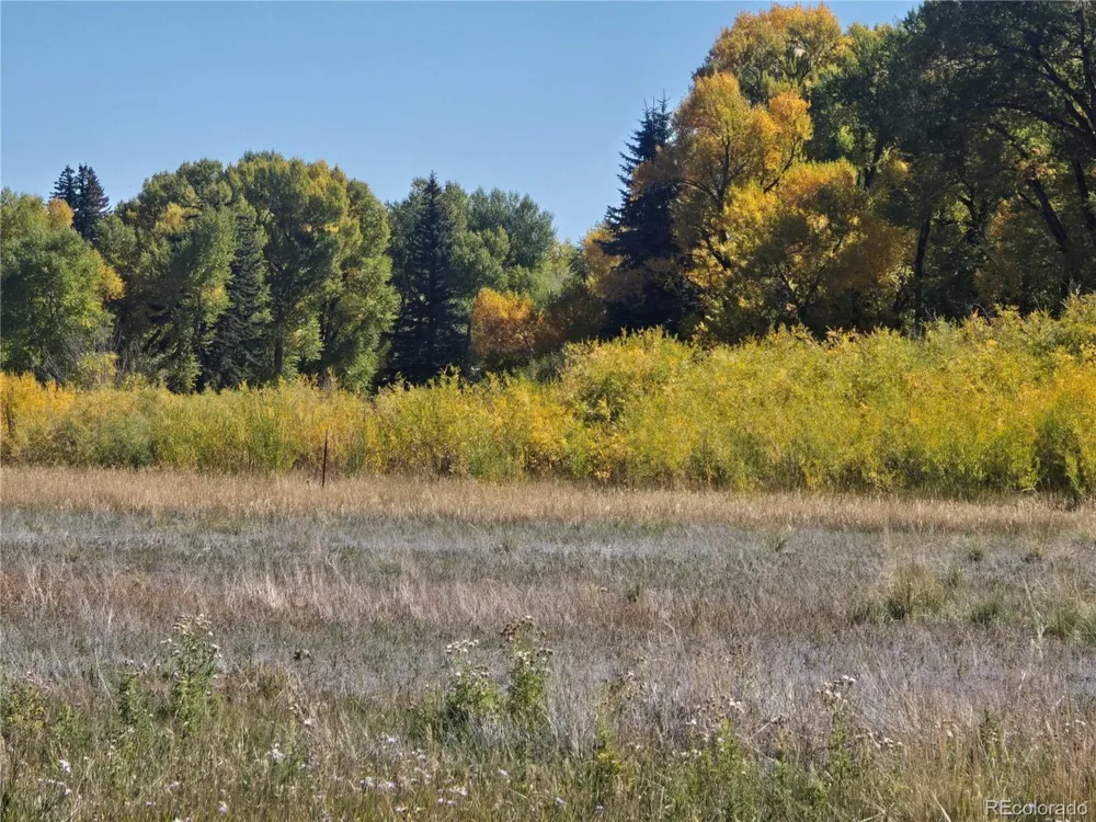 1862 River Island Drive South Fork, CO 81154