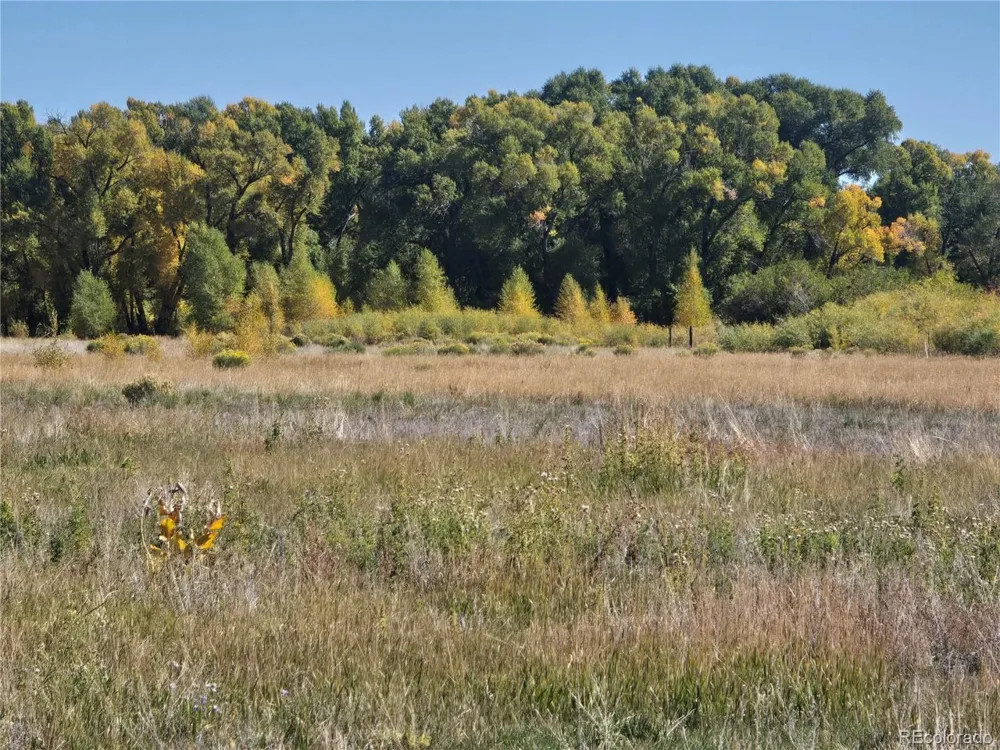 1862 River Island Drive South Fork, CO 81154