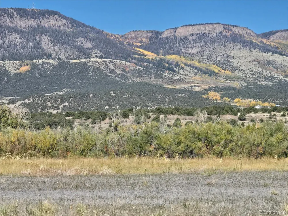 1862 River Island Drive South Fork, CO 81154