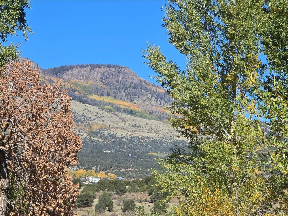 1862 River Island Drive South Fork, CO 81154