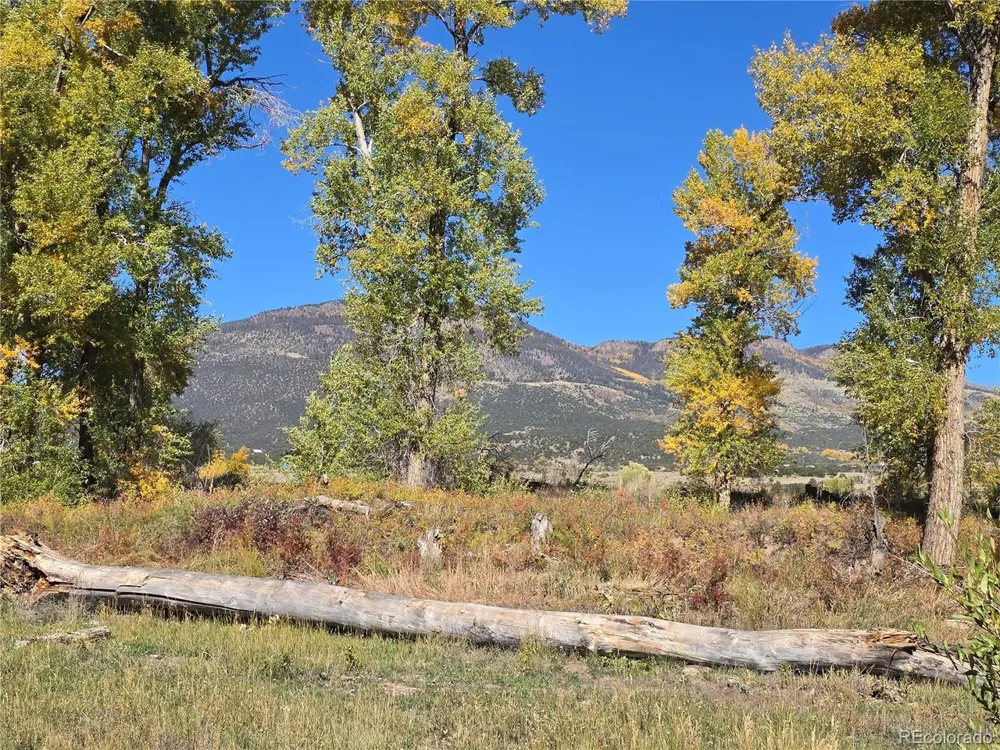 1862 River Island Drive South Fork, CO 81154