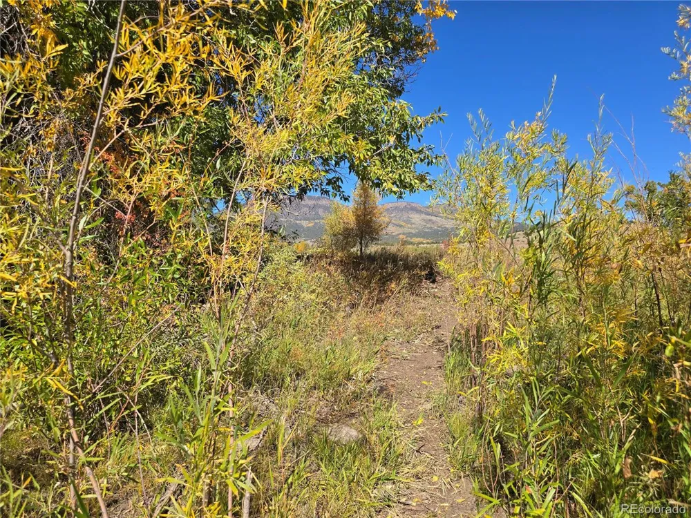 1862 River Island Drive South Fork, CO 81154