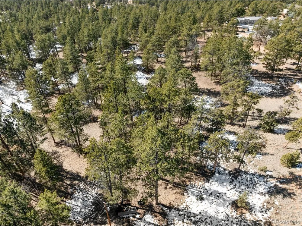 530 Columbine Road Florissant, CO 80816