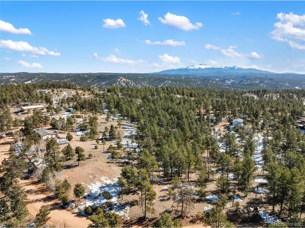 530 Columbine Road Florissant, CO 80816