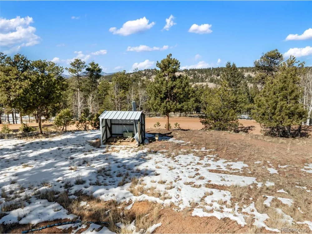 530 Columbine Road Florissant, CO 80816