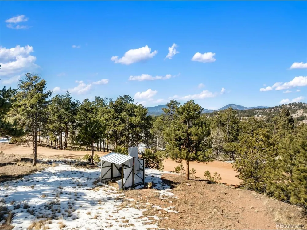 530 Columbine Road Florissant, CO 80816