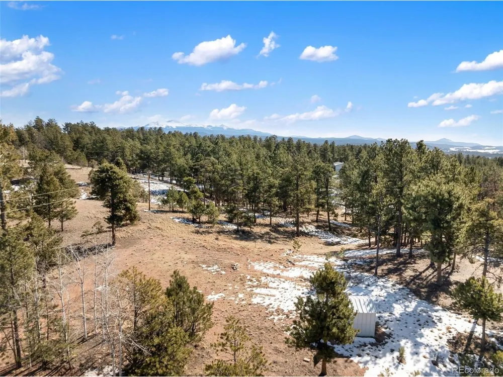 530 Columbine Road Florissant, CO 80816
