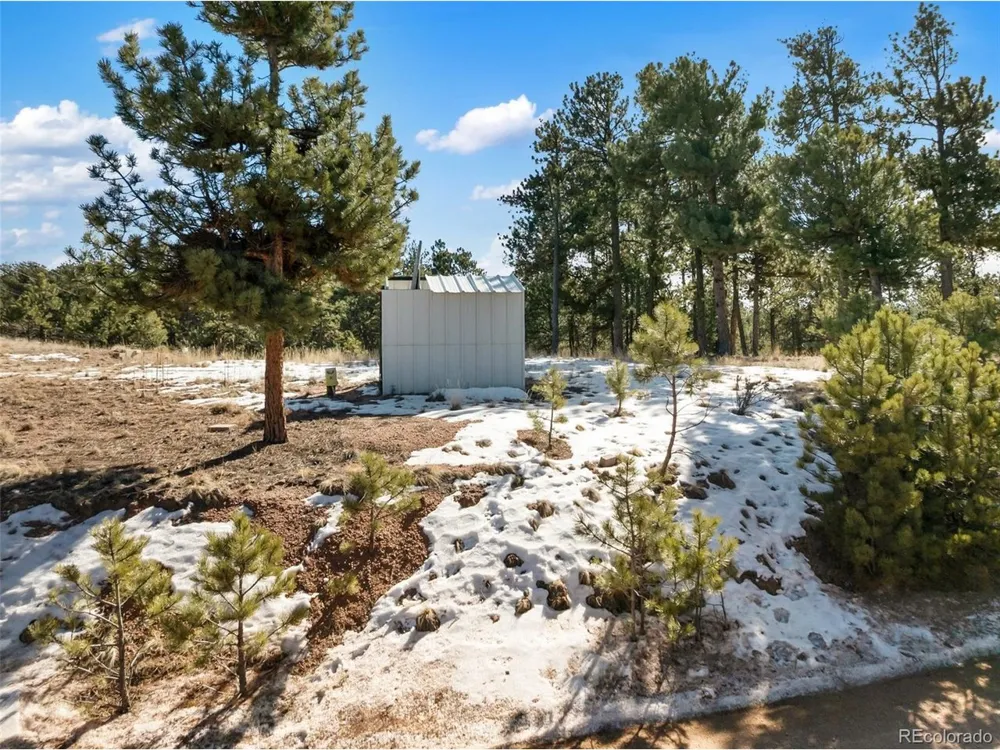 530 Columbine Road Florissant, CO 80816